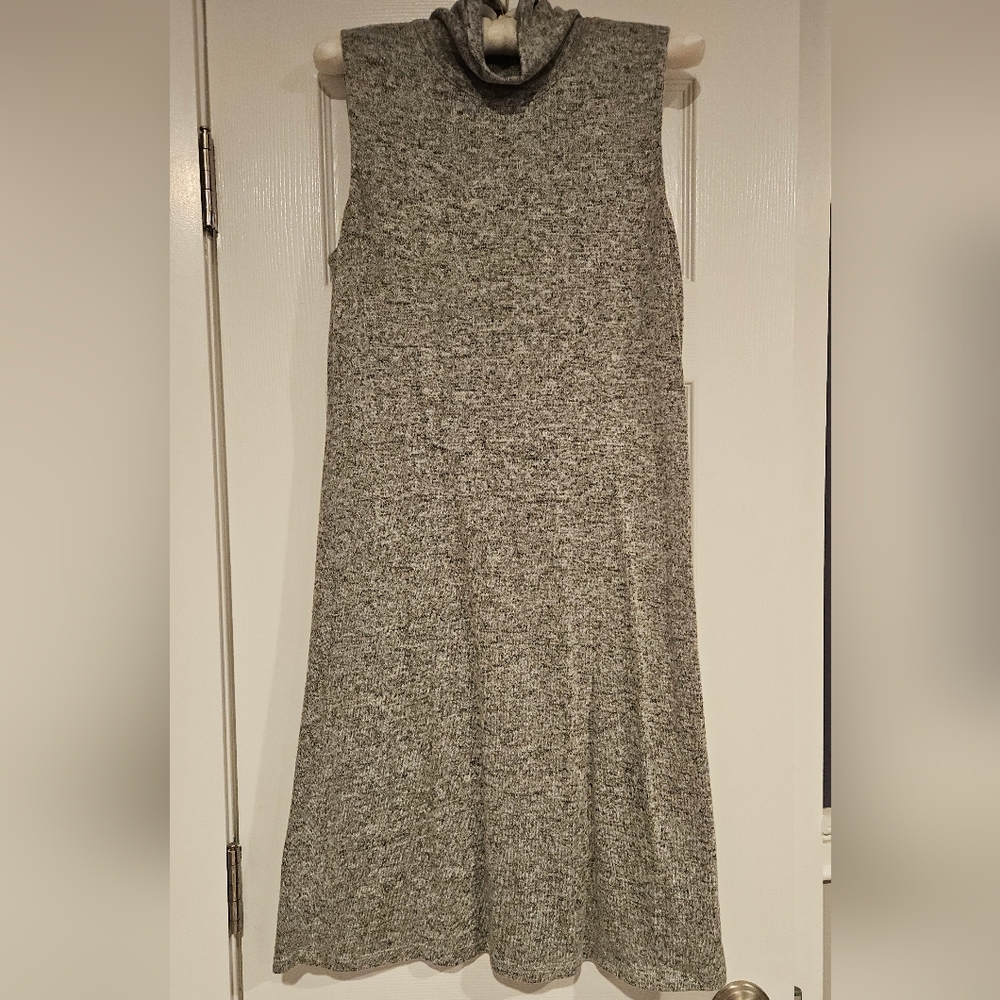Philosophy Gray Dress